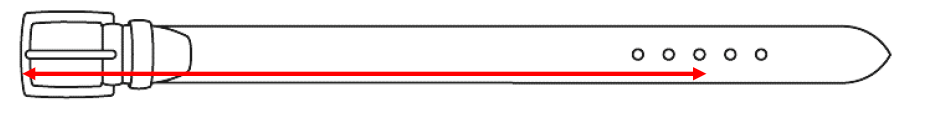 Exemplo de representação de um cinto e dos pontos de medição.