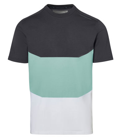 Colour Block T-Shirt - Exclusive Sports Polo & T-Shirts for Men | Porsche  Design | Porsche Design
