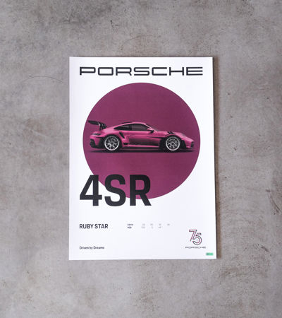 Vintage Porsche 911 France Sports Cars Racing Poster