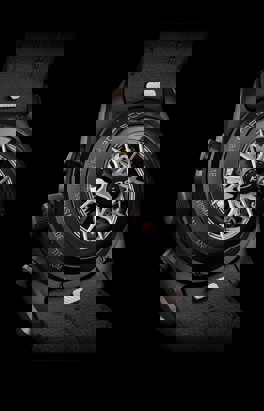 Shows Picture of 12_Milestone Carousel.jpg