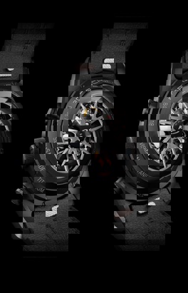 Shows Picture of 13_Milestone Carousel.jpg